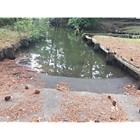 Chesapeake King Tide image